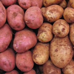 come coltivare le patate