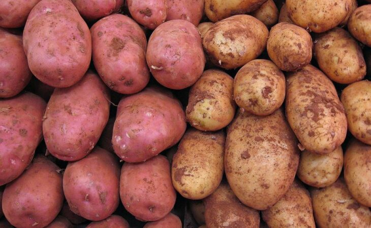 come coltivare le patate