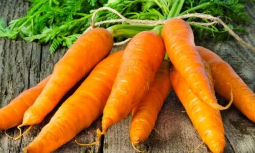 semina carote