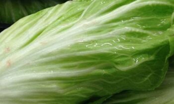 pan di zucchero verdura