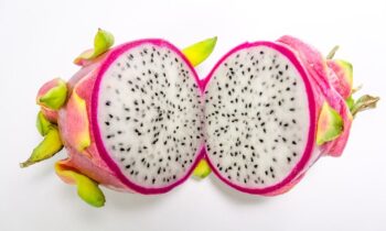 dragon fruit