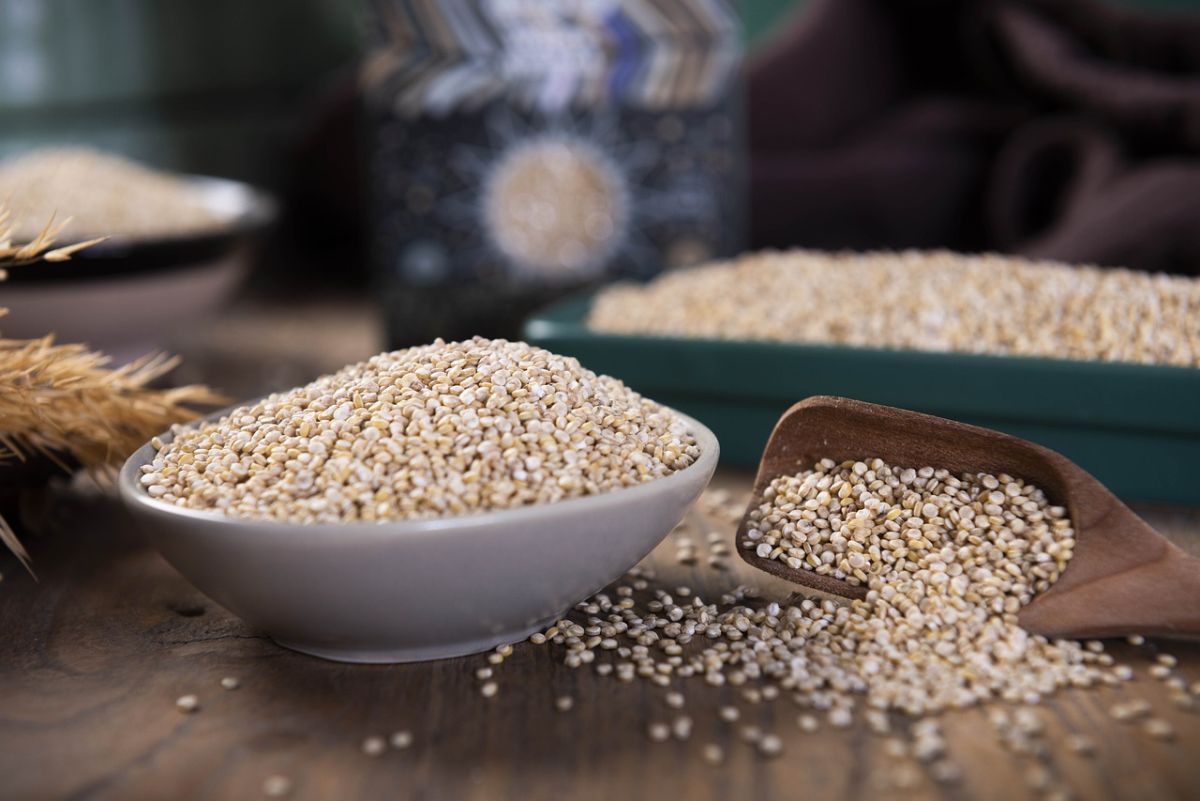 sementi di quinoa
