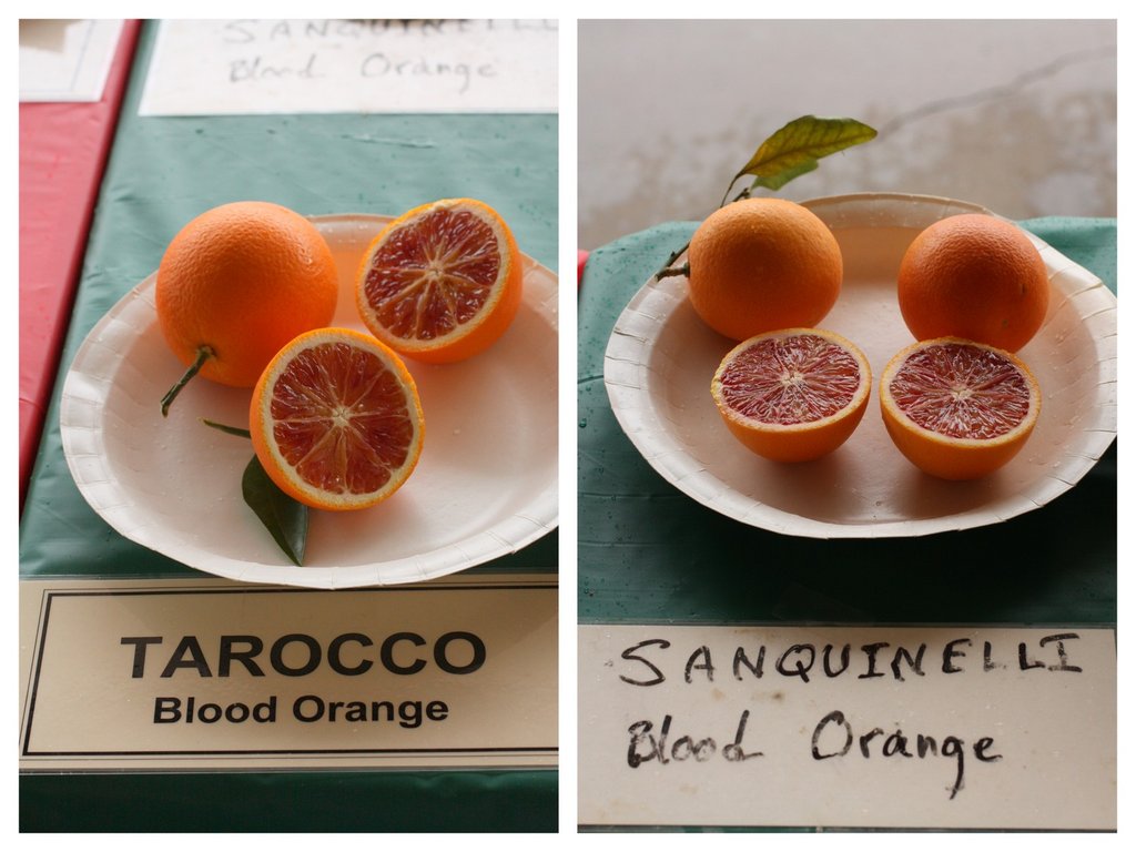 arance rosse Tarocco e Sanguinello tagliate