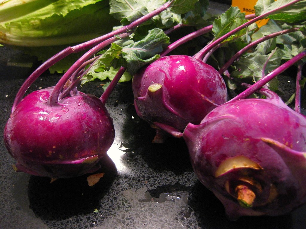 cavoli rapa viola raccolti