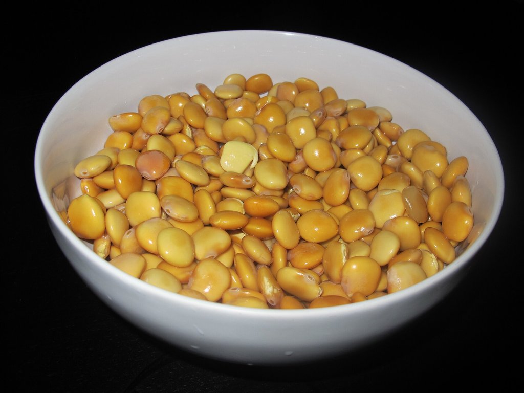 ciotola di lupini deamarizzati